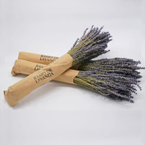 Ramos de Lavanda