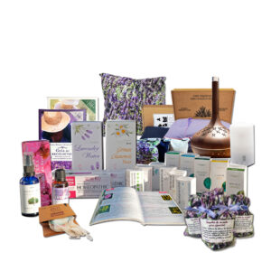 Cosmeticos varios